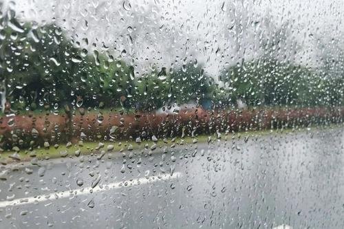 雨好像停了什么意思？