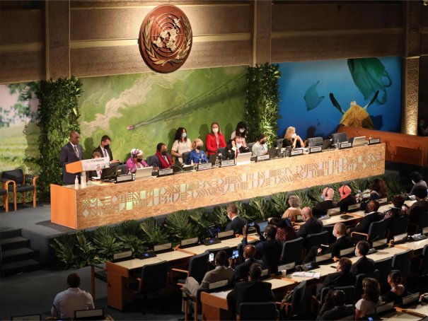 如何看待我国总体国家安全形势