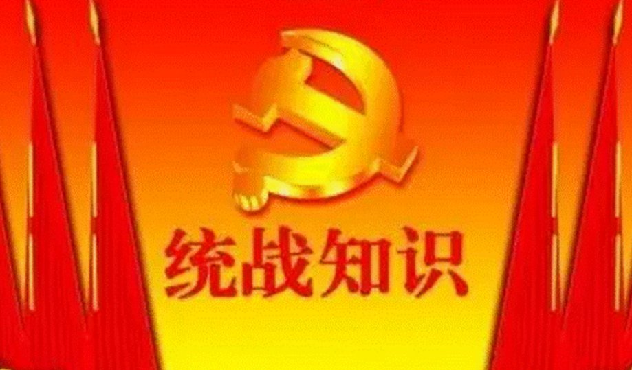 中国革命统一战线中的两个联盟是什么？