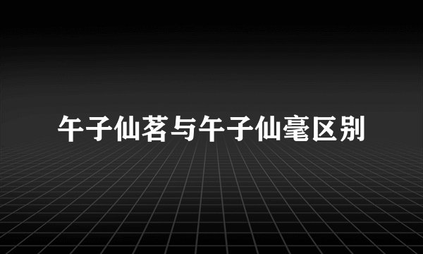 午子仙茗与午子仙毫区别