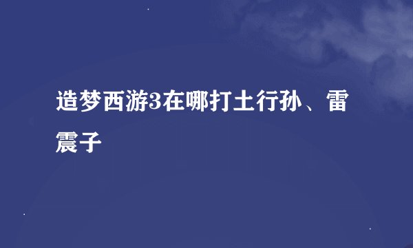 造梦西游3在哪打土行孙、雷震子