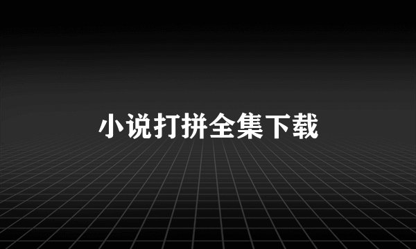 小说打拼全集下载