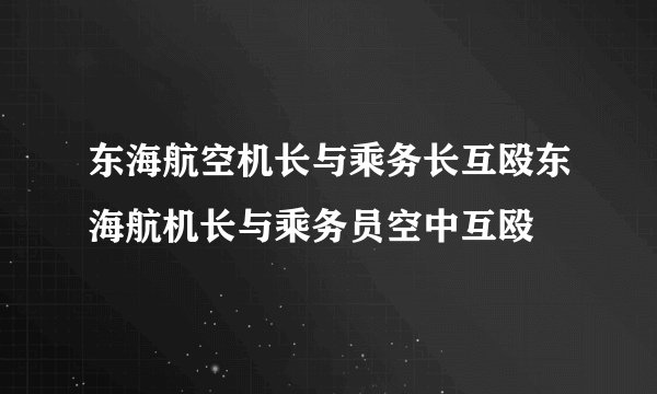 东海航空机长与乘务长互殴东海航机长与乘务员空中互殴