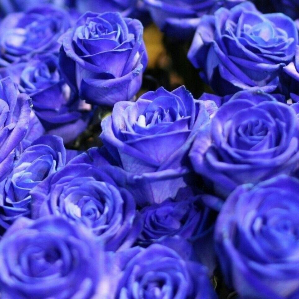 蓝调音乐的蓝调精神