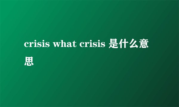 crisis what crisis 是什么意思