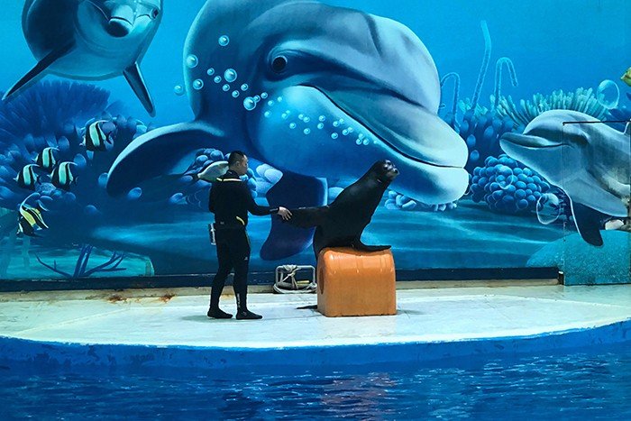 怎样去海底世界