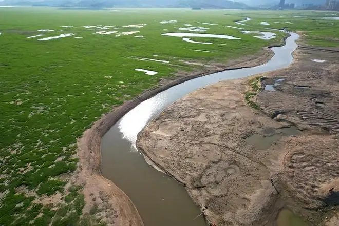 受连续高温影响，鄱阳湖河床变草原，当地人开车飞驰，这样真的好吗？