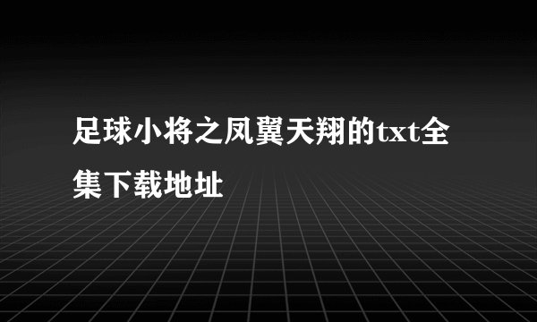 足球小将之凤翼天翔的txt全集下载地址