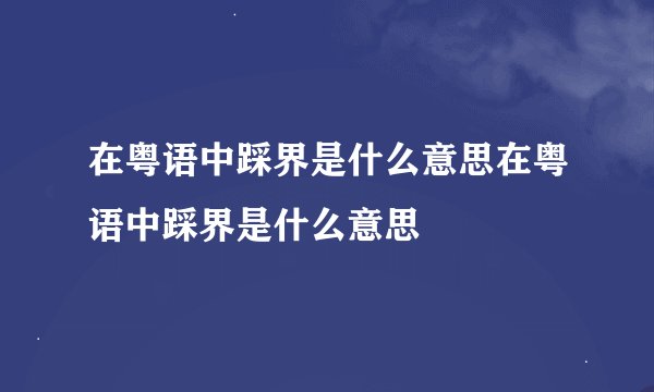在粤语中踩界是什么意思在粤语中踩界是什么意思 –