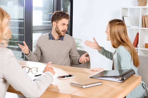 据理力争意思写情景