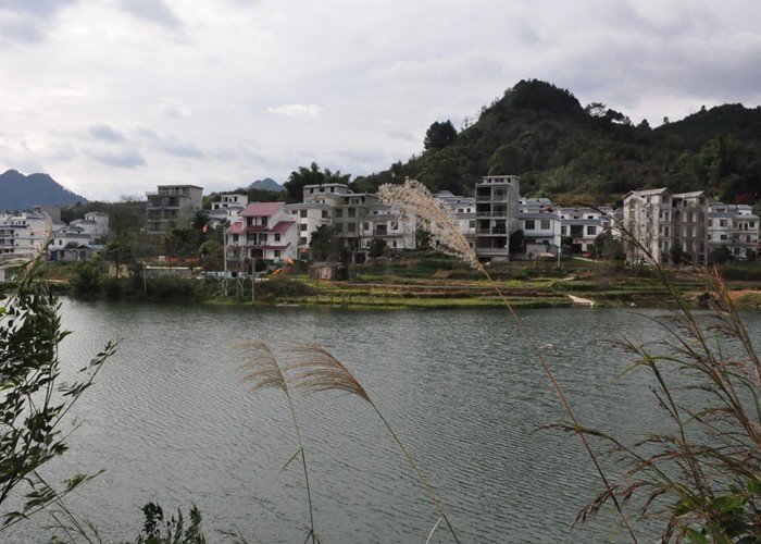 广西巴马长寿村房价