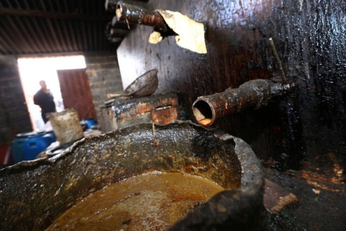 为什么台湾也会出现地沟油？