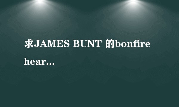 求JAMES BUNT 的bonfire heart的中文歌词