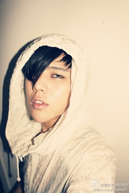 蒋木木的个人经历