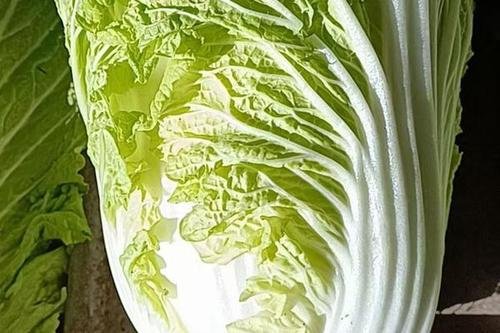 沃尔玛现3238元白菜，离奇的价格背后，到底发生了什么？