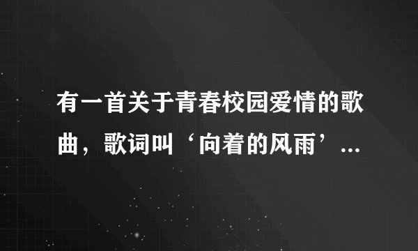 有一首关于青春校园爱情的歌曲，歌词叫‘向着的风雨’然后什么来着，求歌词