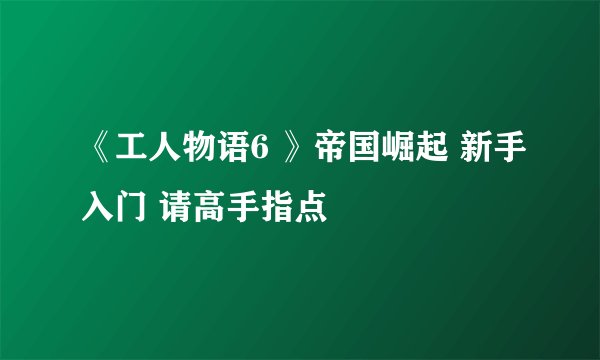 《工人物语6 》帝国崛起 新手入门 请高手指点