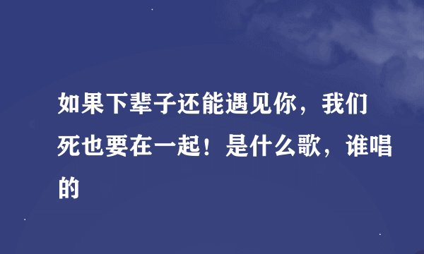 如果下辈子还能遇见你，我们死也要在一起！是什么歌，谁唱的