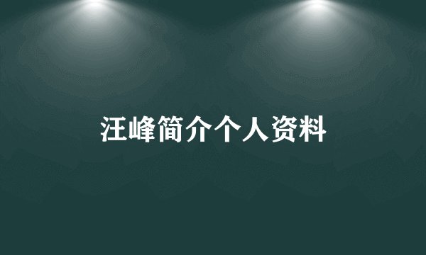 汪峰简介个人资料