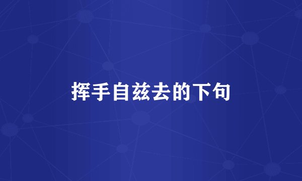 挥手自兹去的下句