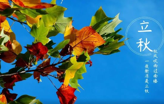 立秋节气的寓意和传统？