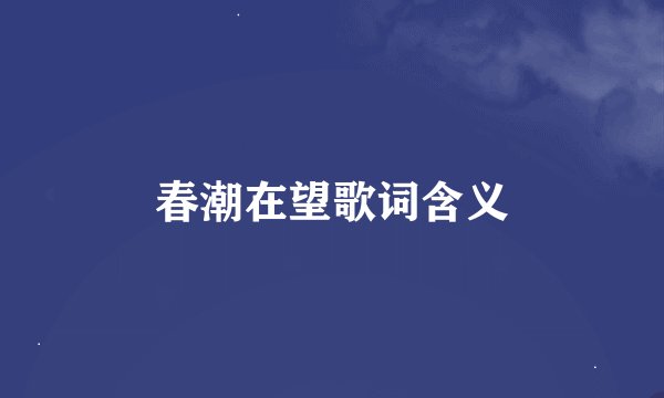 春潮在望歌词含义