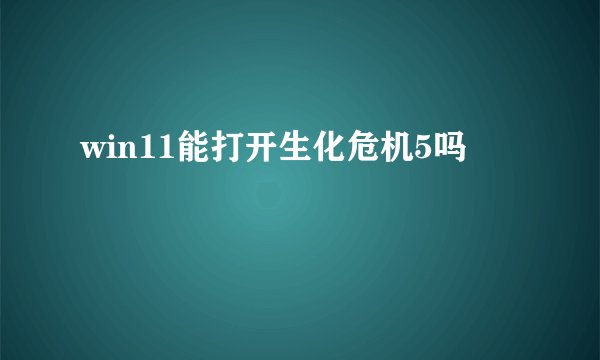 win11能打开生化危机5吗