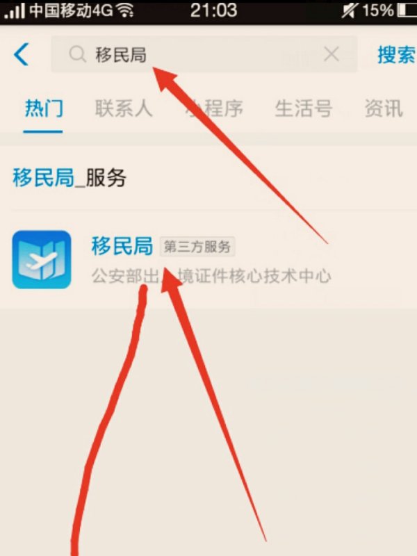 广东省公安厅出入境政务服务网怎么查询办理进度。。。要详细。。