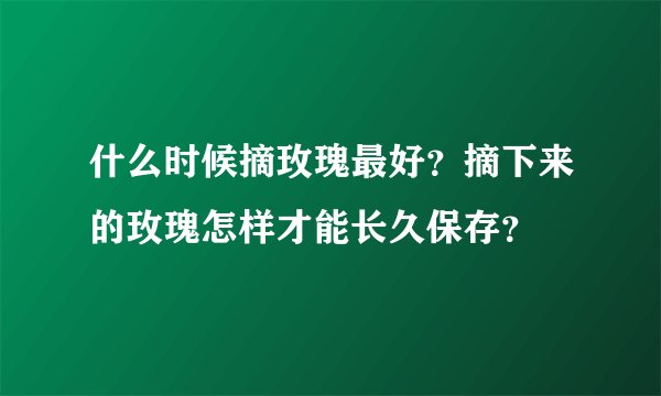 什么时候摘玫瑰最好？摘下来的玫瑰怎样才能长久保存？