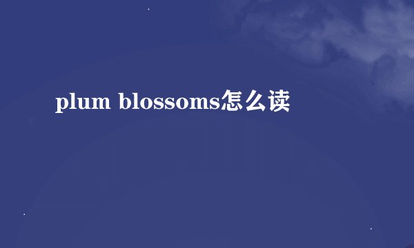 plum blossoms怎么读