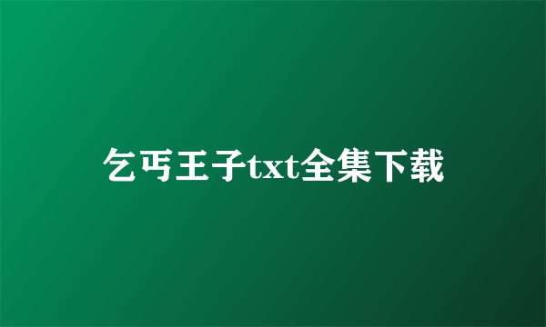 乞丐王子txt全集下载