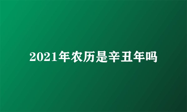 2021年农历是辛丑年吗