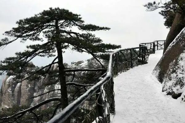 题小松古诗原文及翻译