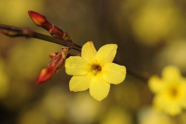 立春是2023的几月几日几点几分