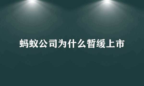 蚂蚁公司为什么暂缓上市
