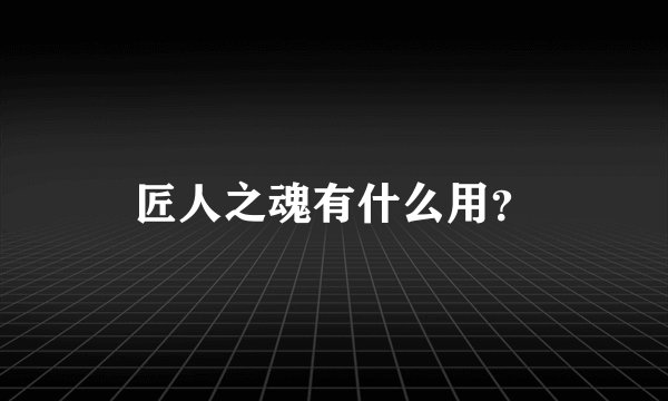 匠人之魂有什么用？