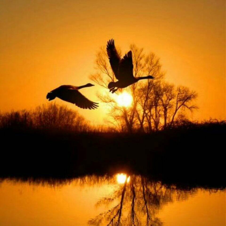 女孩为什么发5.20的红包给男朋友