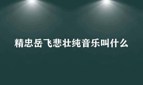 精忠岳飞悲壮纯音乐叫什么