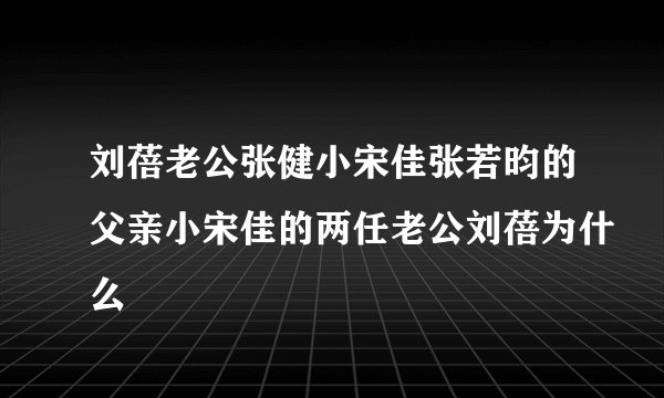 刘蓓老公张健小宋佳张若昀的父亲小宋佳的两任老公刘蓓为什么