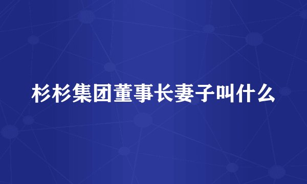 杉杉集团董事长妻子叫什么
