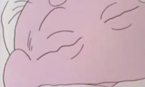 《蜡笔小新》小葵出生是第几集?