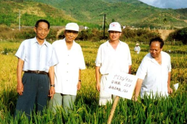 著名水稻专家杨振玉逝世，生前对我国有过哪些贡献？