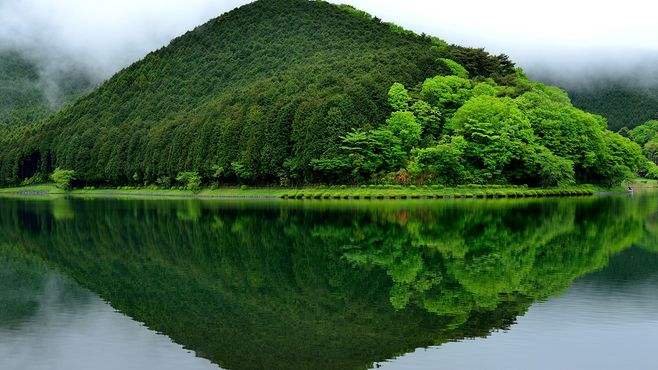 《离人心上》原著小说是什么？小说的结局是什么？