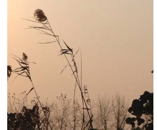 大风起兮云飞扬是什么意思？