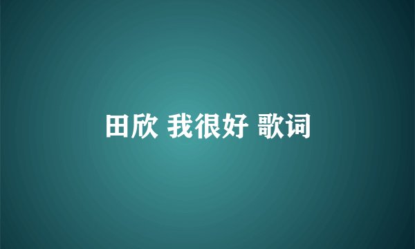 田欣 我很好 歌词