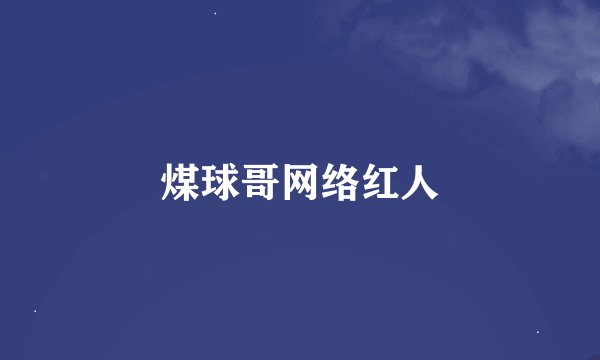 煤球哥网络红人
