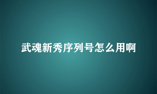 武魂新秀序列号怎么用啊