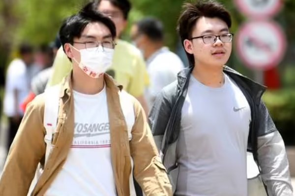 2019为什么被称为高考最难年