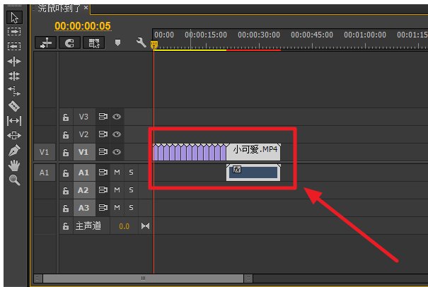 如何制作视频VCR呀？活动的视频、照片片段想做成一个短片观看！拜托各位帮忙了！