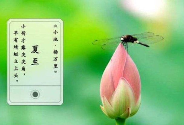 夏至是入伏吗？